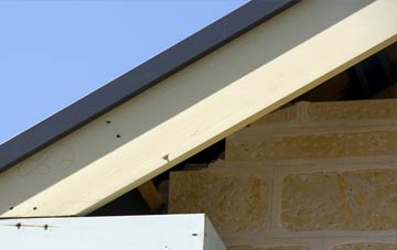 Cuckoo Tye fascia repairs