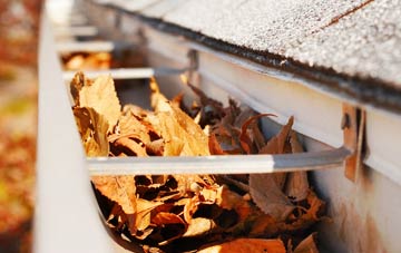 Cuckoo Tye gutter cleaning companies