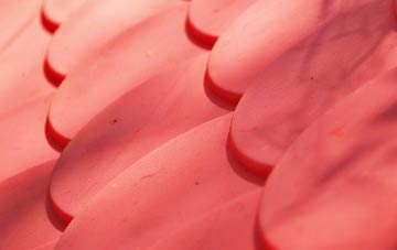 Cuckoo Tye plastic roof costs