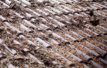Cuckoo Tye roof cleaning companies