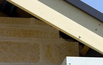 soffit repair Cuckoo Tye