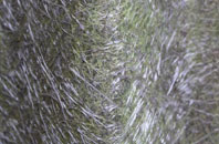 Cuckoo Tye fibreglass roof work