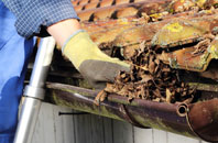 Cuckoo Tye gutter cleaners
