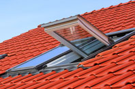 Cuckoo Tye roof window